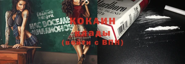 гашик Алексеевка
