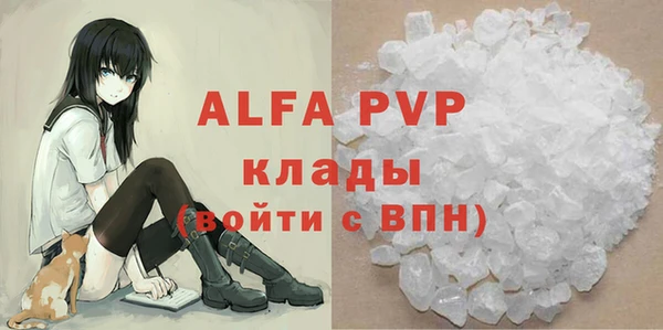крисы Алзамай