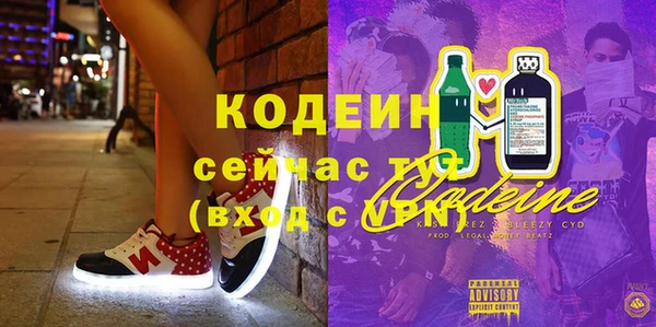 гашик Алексеевка