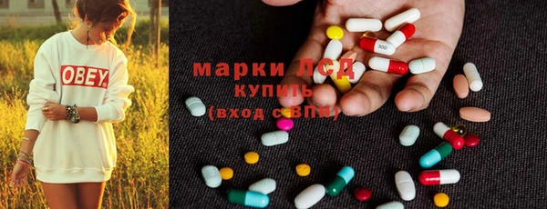 крисы Алзамай