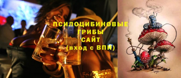 дмт Алексин