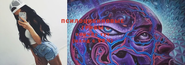 гашик Алексеевка