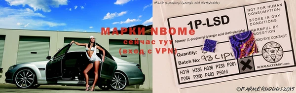 гашик Алексеевка